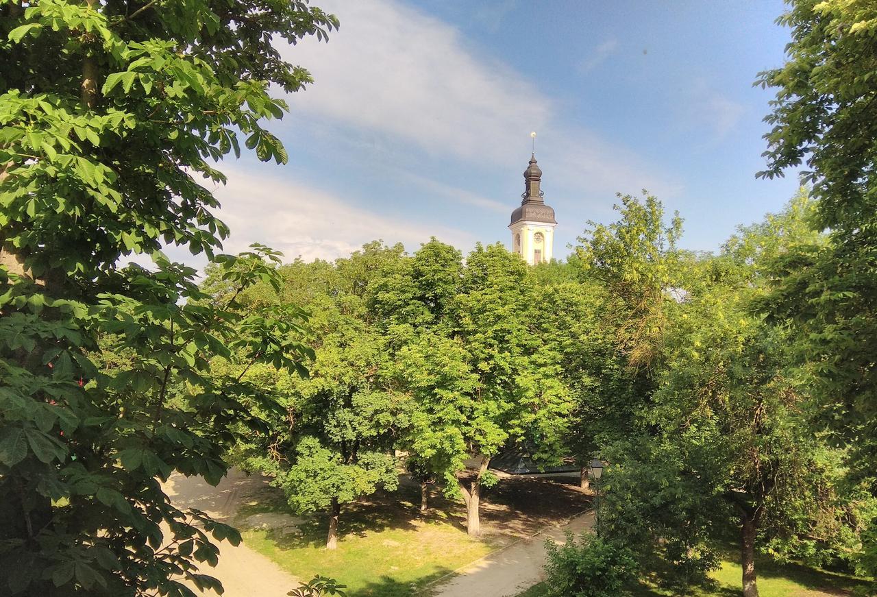 Apartment In The Center Of Old Town Kamjanez-Podilskyj Exterior foto